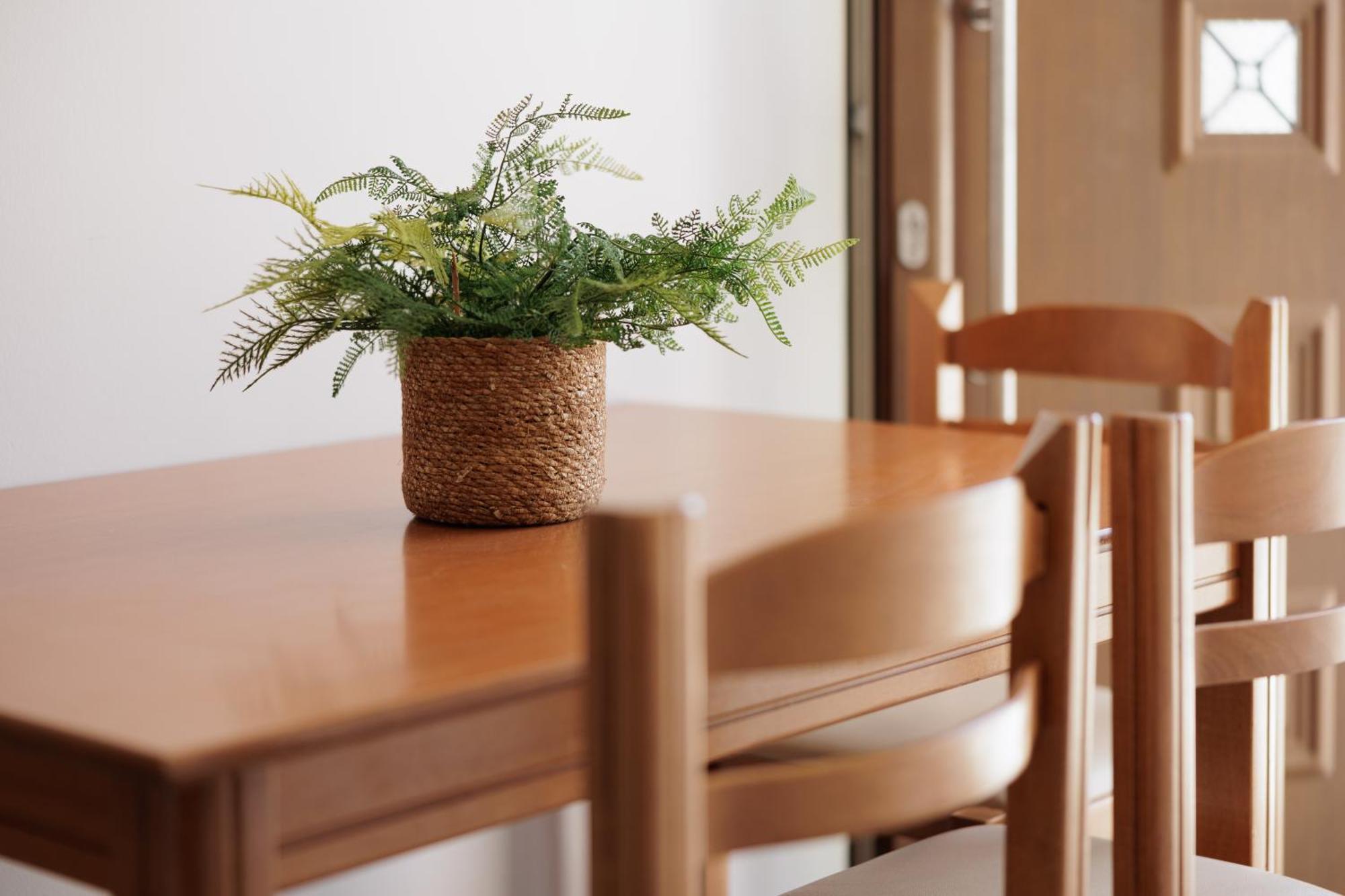 Santos Luxury Apartments Дассия Номер фото